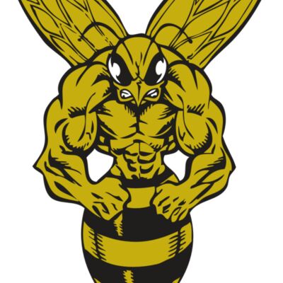 BAW BEE 06 RC Thumbnail