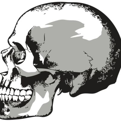 AR24 SKULL 02 RQC Thumbnail